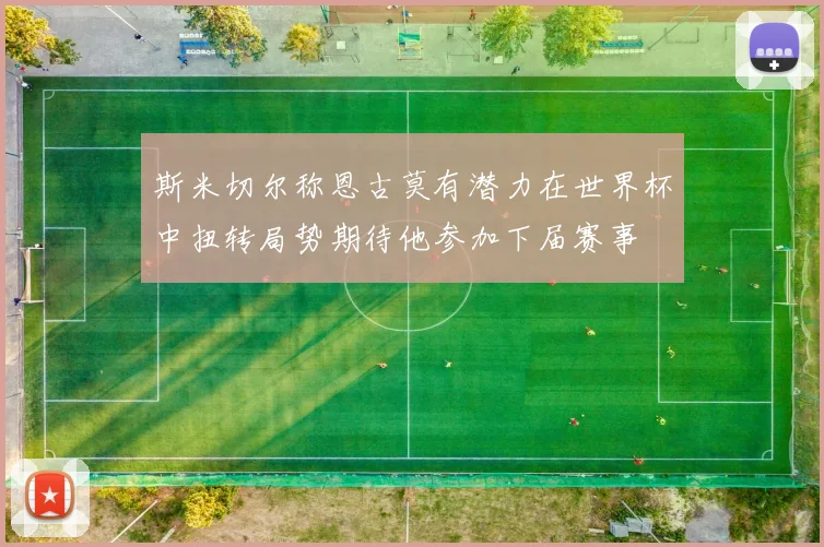 斯米切尔称恩古莫有潜力在世界杯中扭转局势期待他参加下届赛事