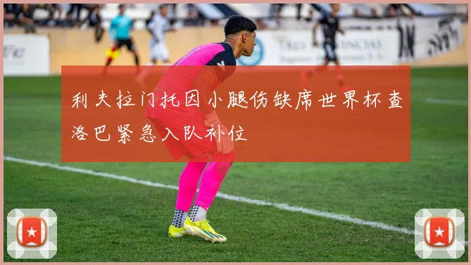 利夫拉门托因小腿伤缺席世界杯查洛巴紧急入队补位